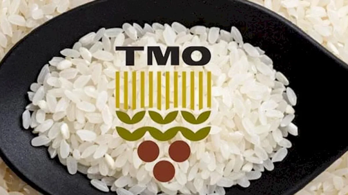 TMO: Tüm pirinçler yerli üreticiden