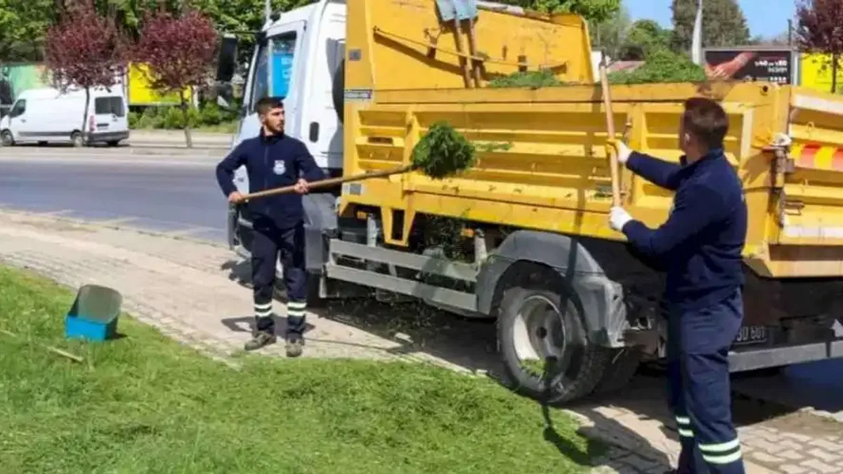 Yalova'da yeşil alan bakımı sürüyor