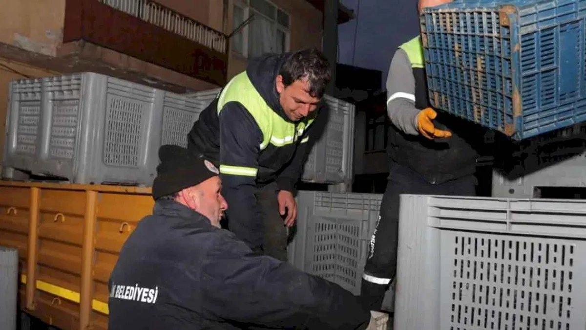 Bursa Gemlikli çiftçinin yüzü gülüyor