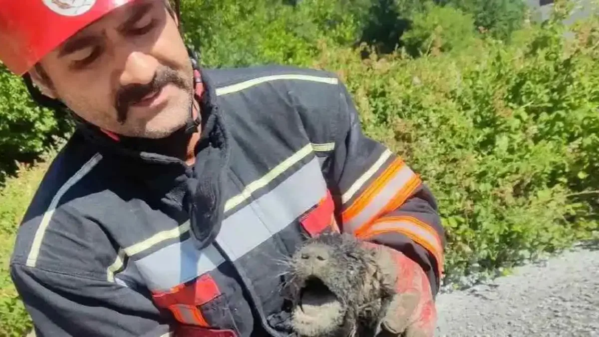 Malatya itfaiyesinden can dosta yardım eli