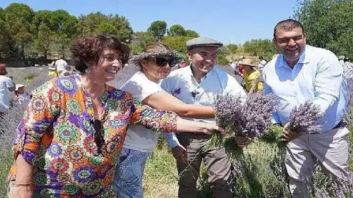 Seferihisar'da mis kokulu festival