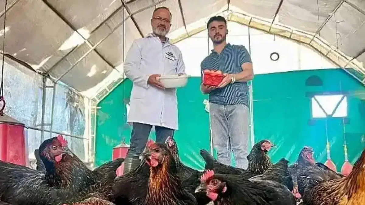 Büyükşehir destekliyor, çiftçinin yüzü gülüyor