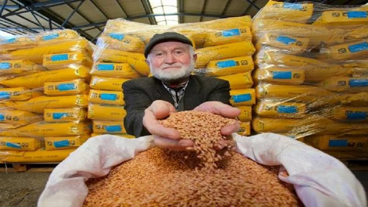 Kocaeli'den çiftçilere tohum desteği