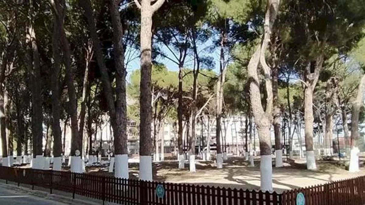 Manisa'da tarihi Muradiye Mezarlığı’na sahip çıktı