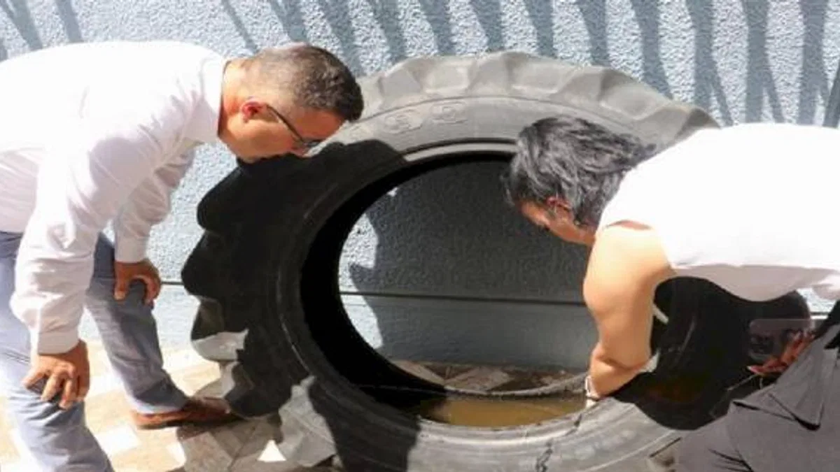 Atık lastiklere dikkat! Sivrisinek üretiyor