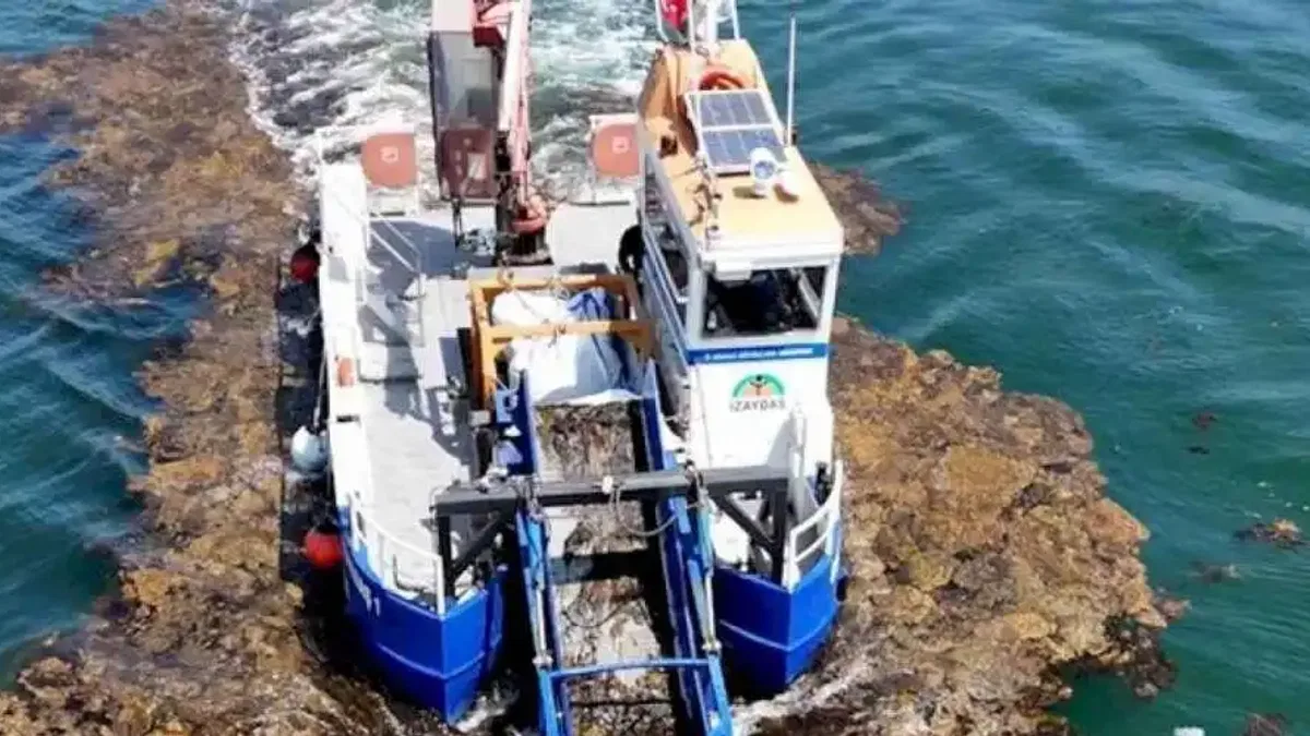 Kocaeli deniz ekosistemini koruyor