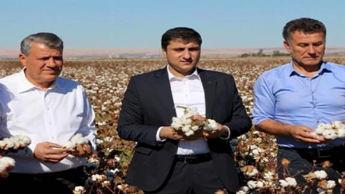Şanlıurfa'dan TMO alım politikalarına eleştiri
