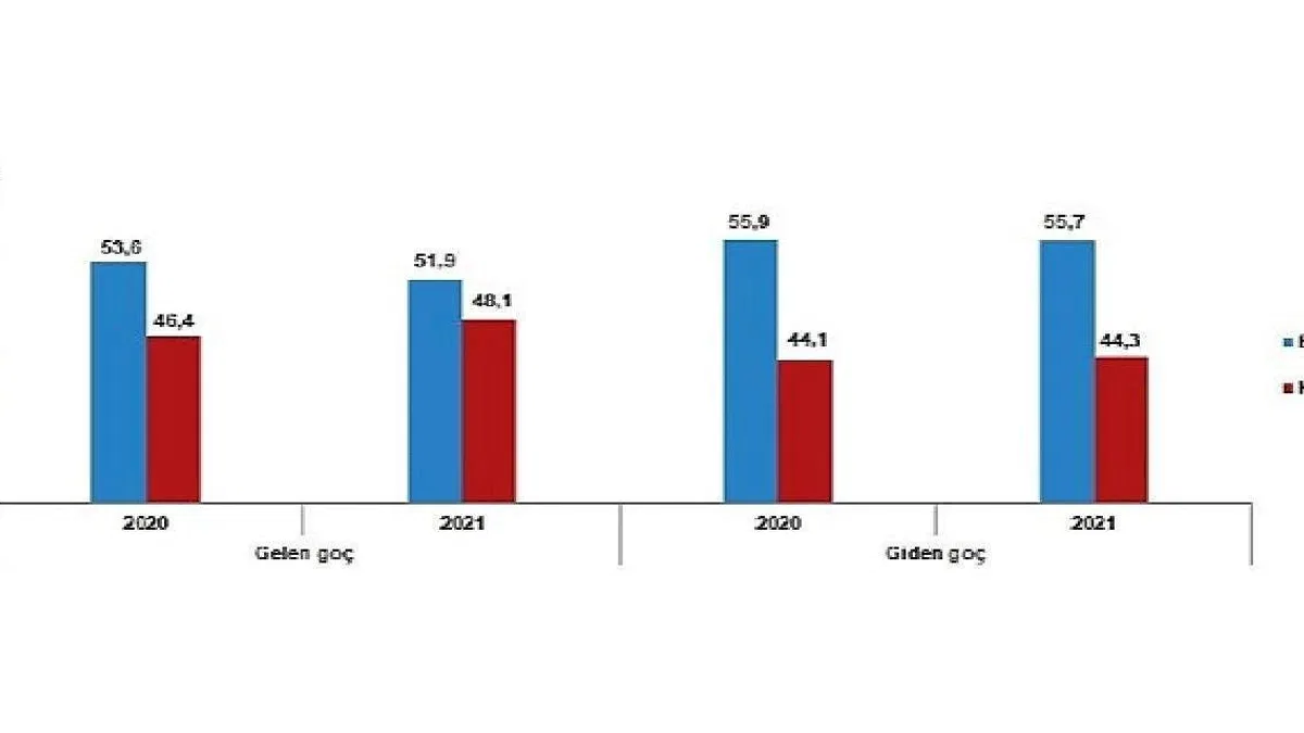 TÜİK: Yurt dışından Türkiye'ye 739 bin 364 kişi göç etti