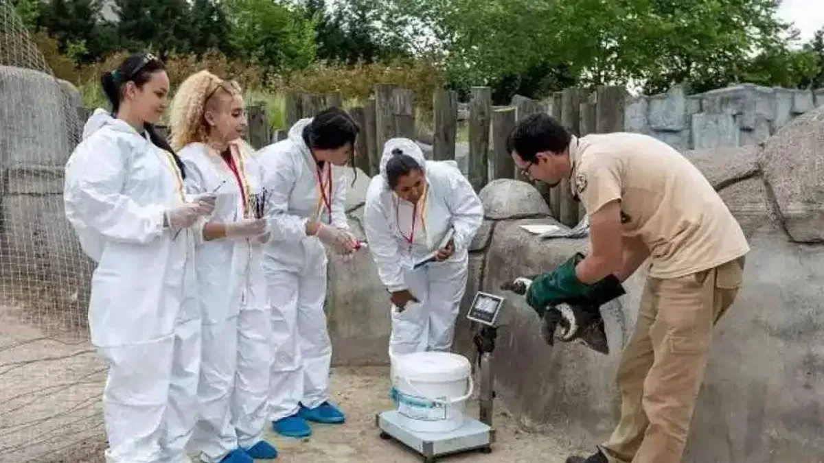 Erasmuslu öğrenciler Bursa Hayvanat Bahçesi’nde