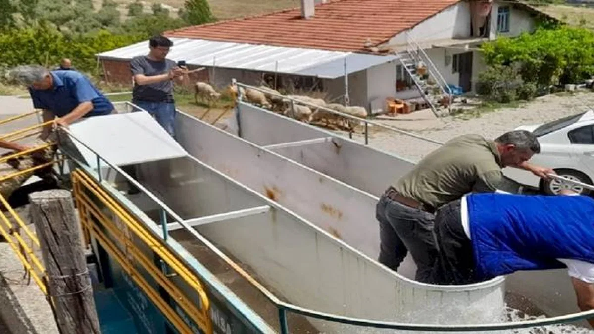 Manisa'da küçükbaş hayvan sağlığına mobil çözüm