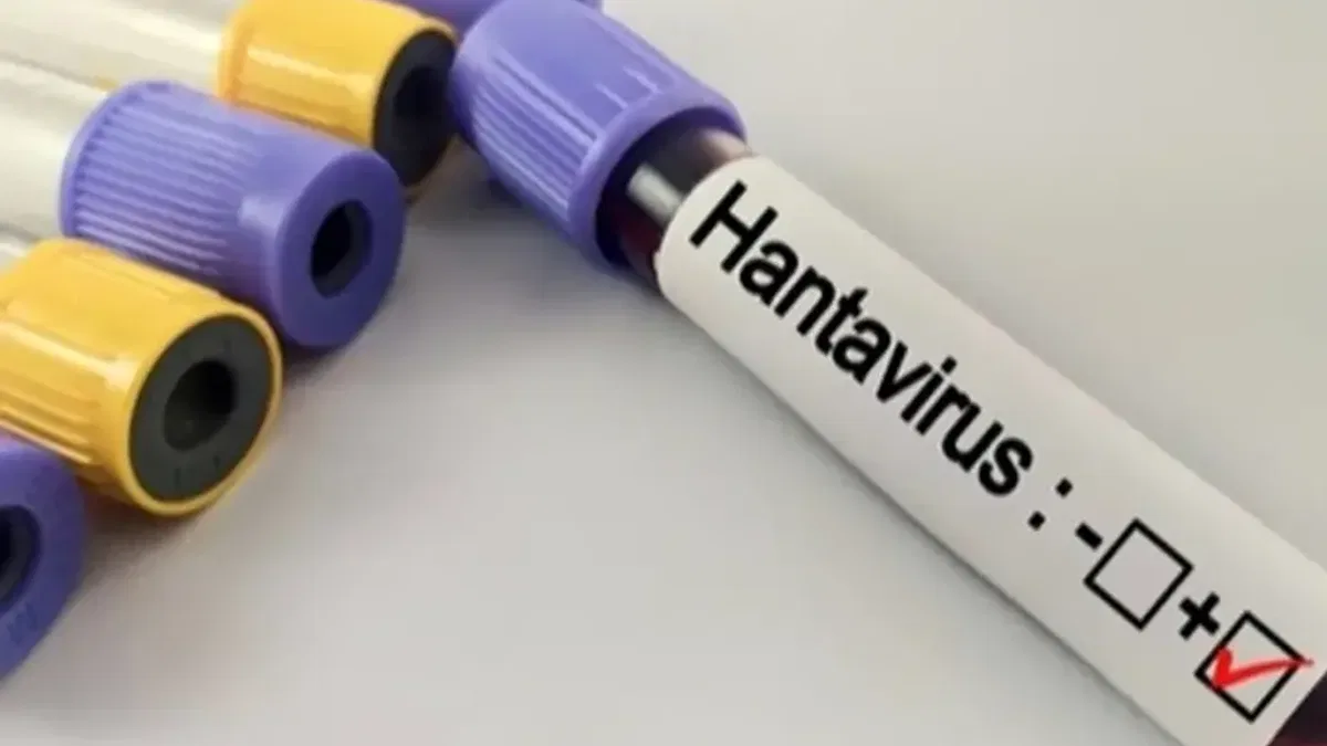 Hantavirüs salgına dönüşür mü?