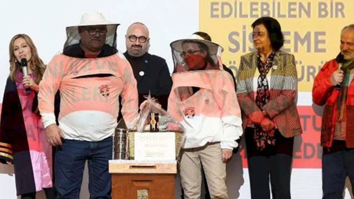İstanbul Şile'de 'arı turizmi' zirvesi
