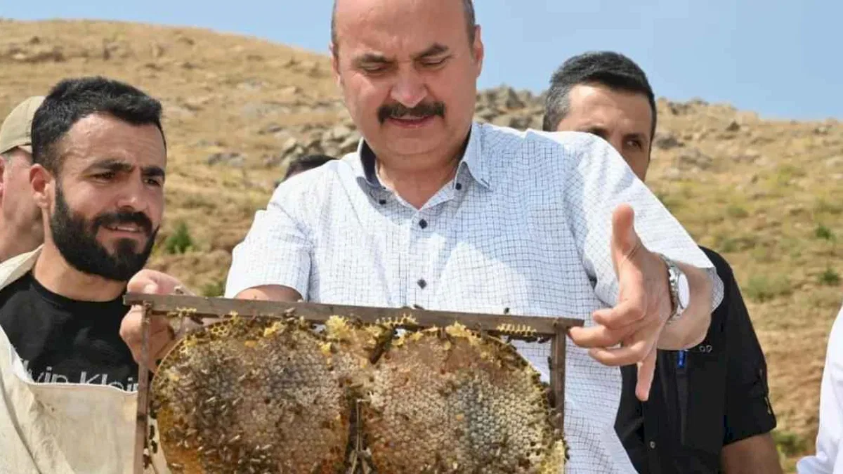Batman Sason'da bal hasadı coşkusu