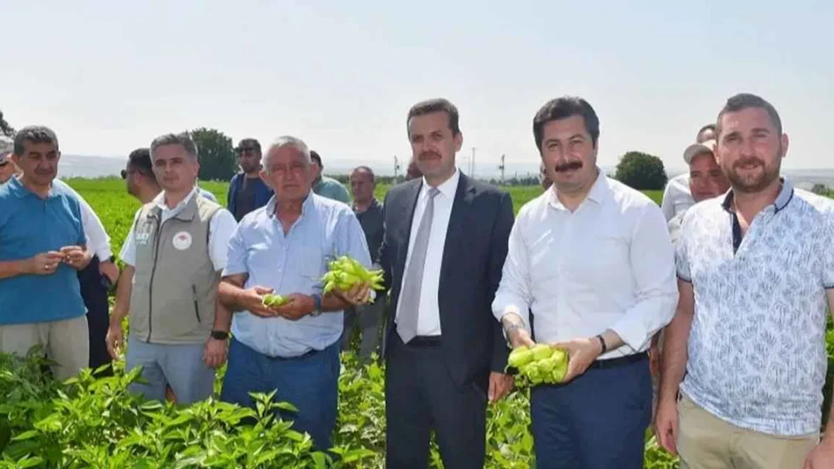 Yenişehir Biberi'nin marka değeri artacak