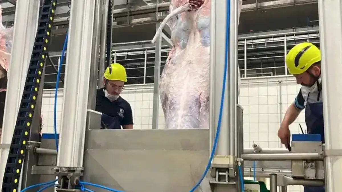 Kocaeli'den uyarı... Sakatatları açık halde çöpe atmayın