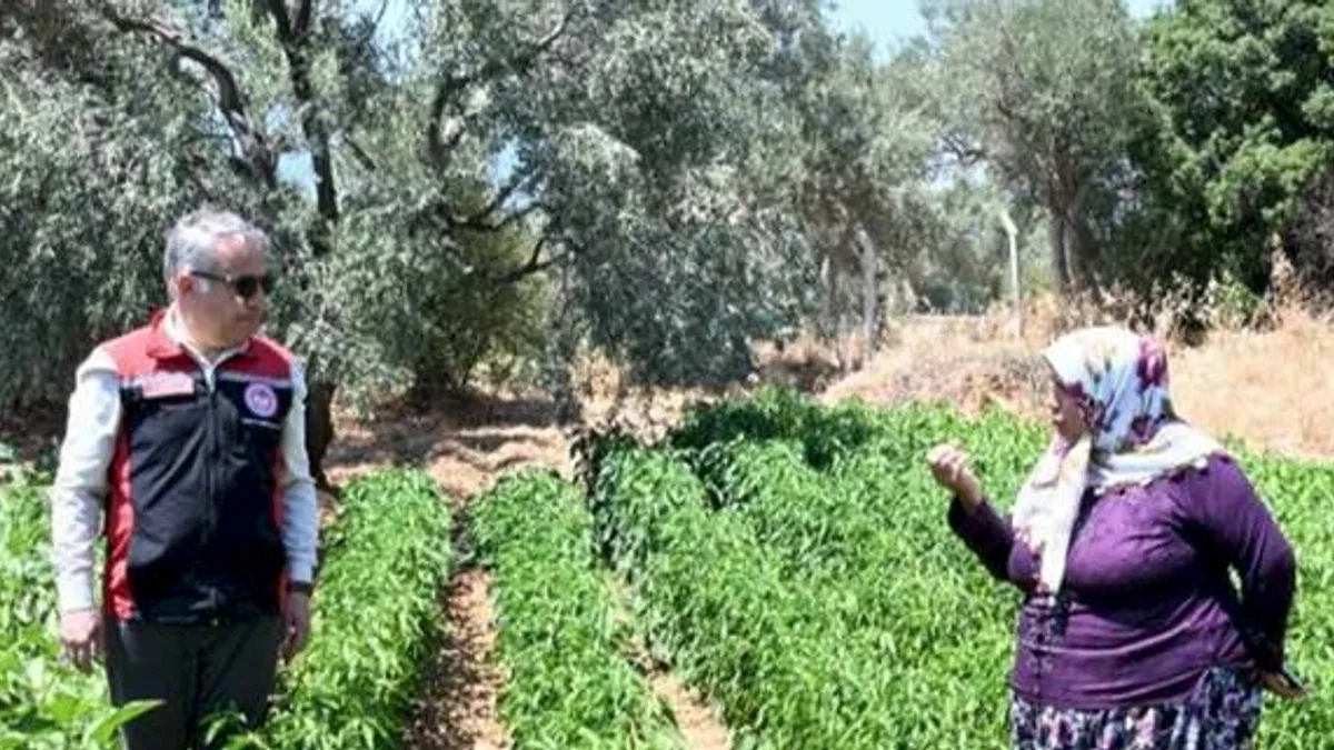 TAKE projesiyle İzmirli üreticiye destek atağı