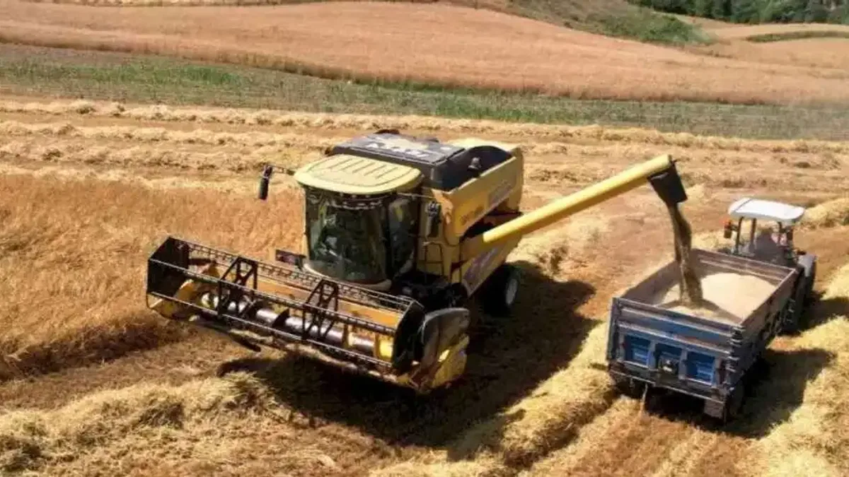 Kocaeli’de 57 bin dekarda hasat sevinci