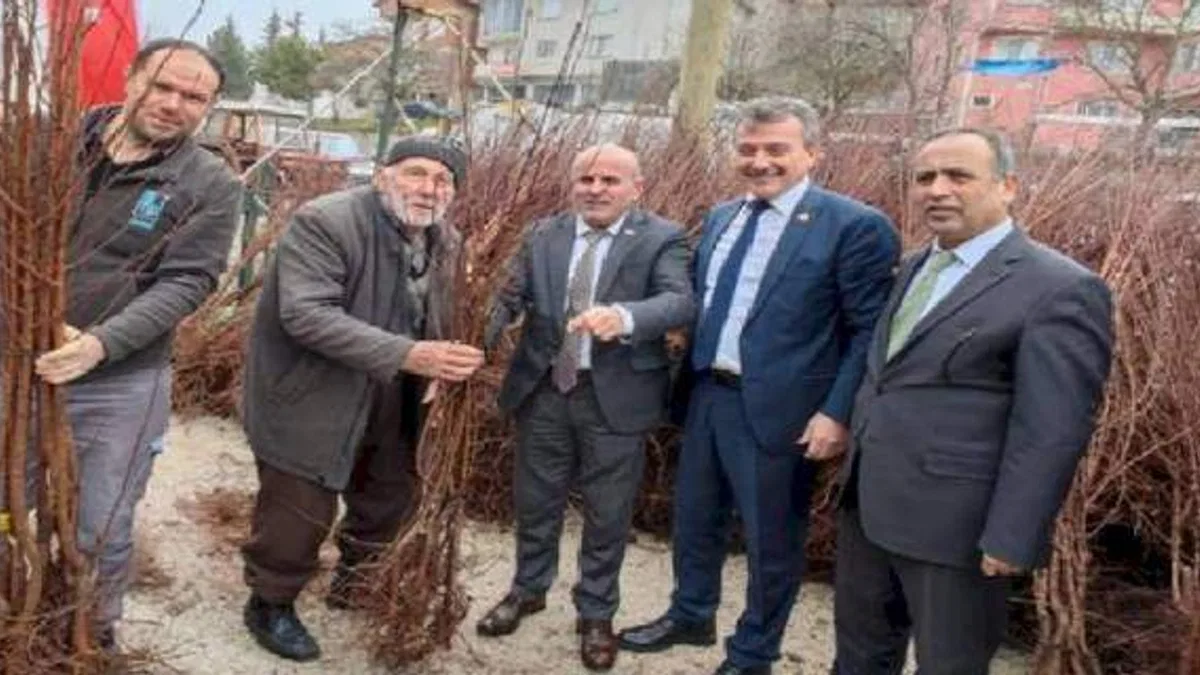 Bursa Büyükorhanlı çiftçiye fidan desteği