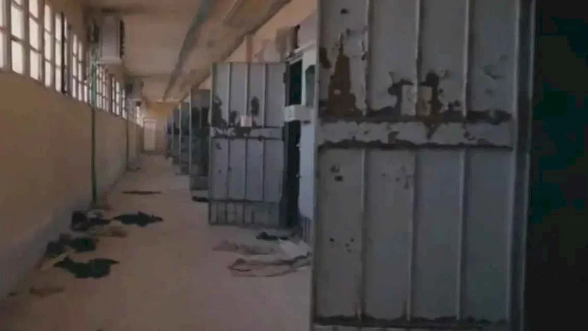Fahrettin Altun'dan "Surviving Assad" paylaşımı