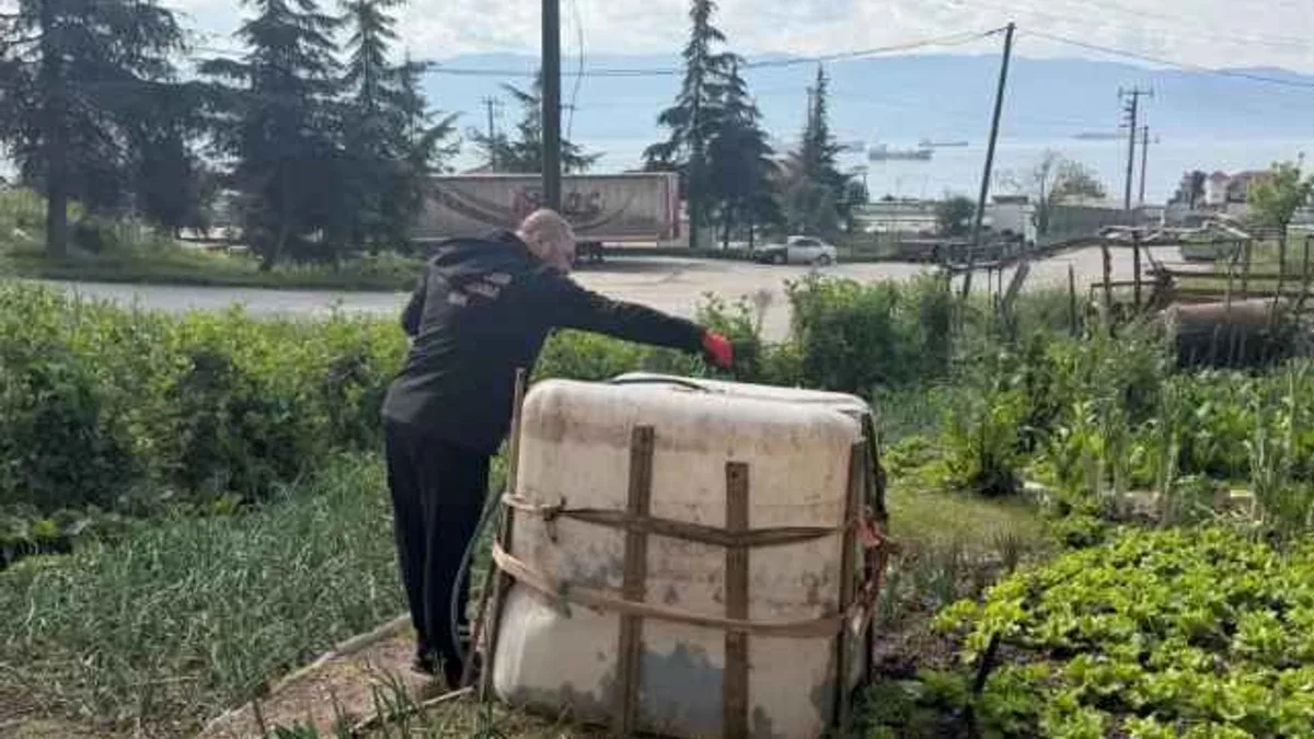 Kocaeli’de sivrisinek ve karasinekle yoğun mücadele