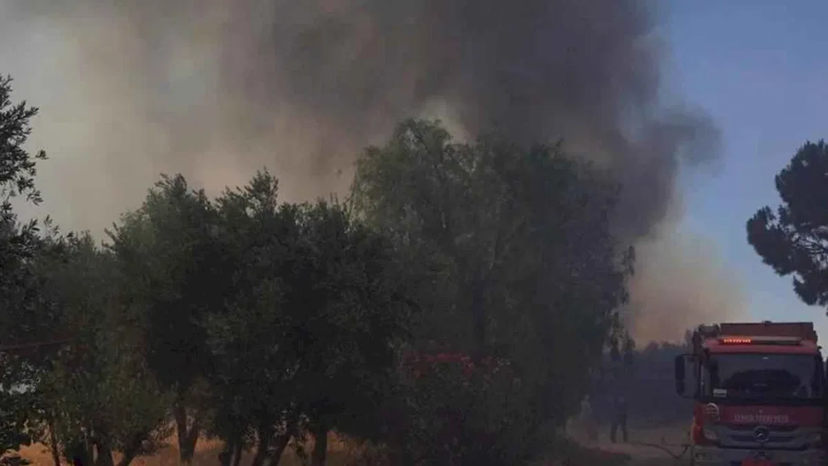 İzmir İtfaiyesi Çeşme Ildır için teyakkuza geçti