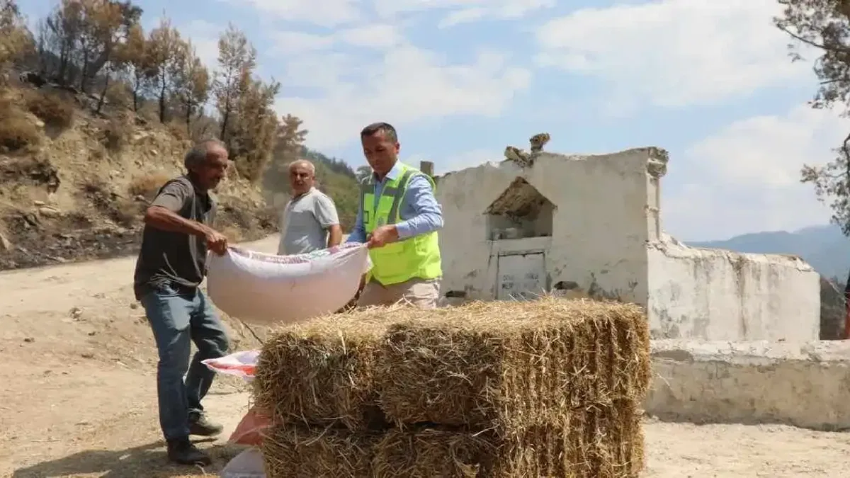Muğla Seydikemer’de yaralar hızla sarılıyor