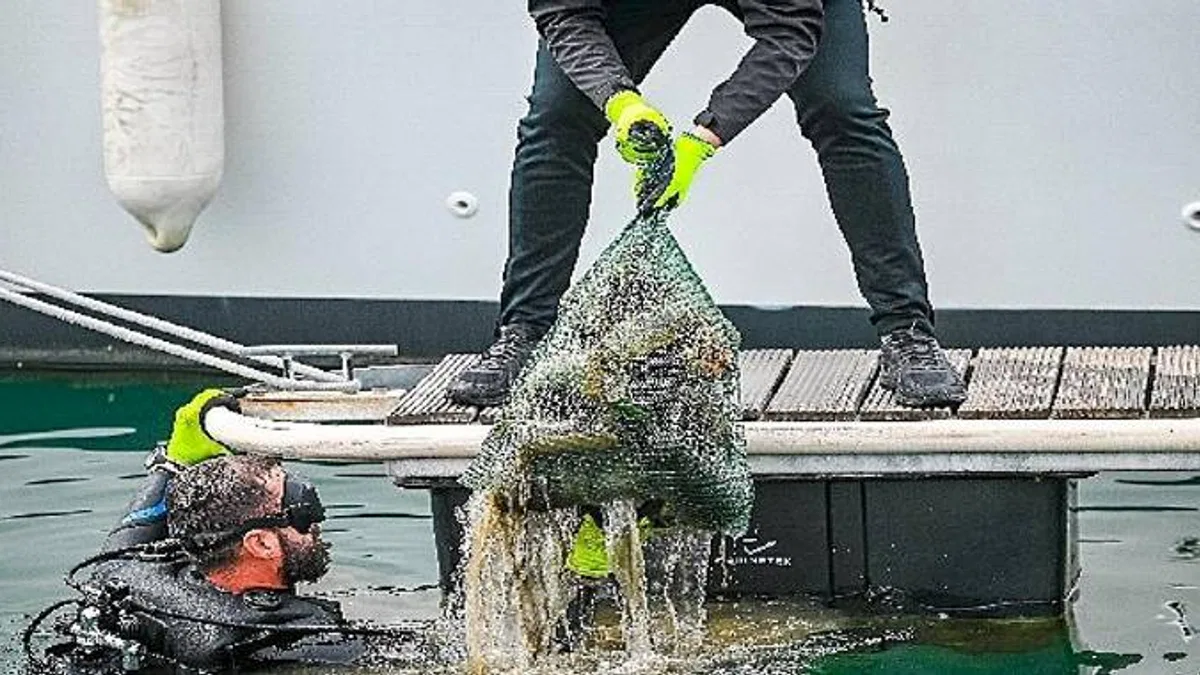 D-Marin tüm marinalarında Çevre Farkındalık Günlerini kutladı