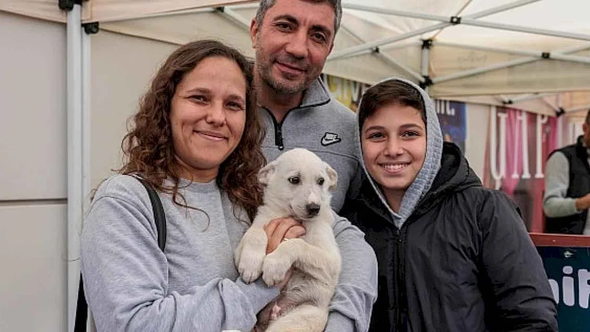 Konak'tan patili dostları sahiplendirme etkinliği: Yeni yıla sıcak yuvalarında girecekler