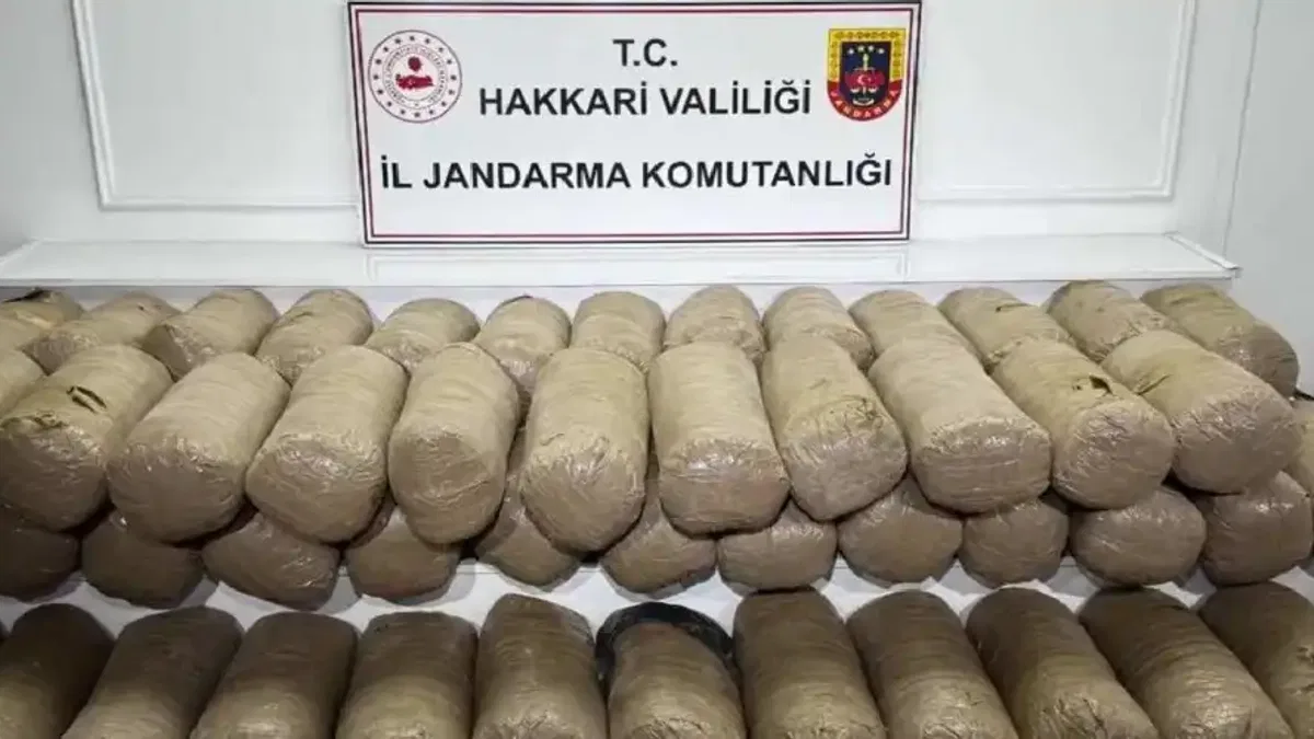 Hakkari'de 503 kilo esrar ele geçirildi