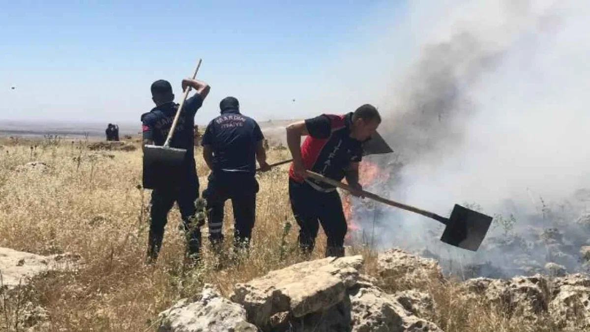 Ormanlık alanda çıkan yangın kontrol altına alındı