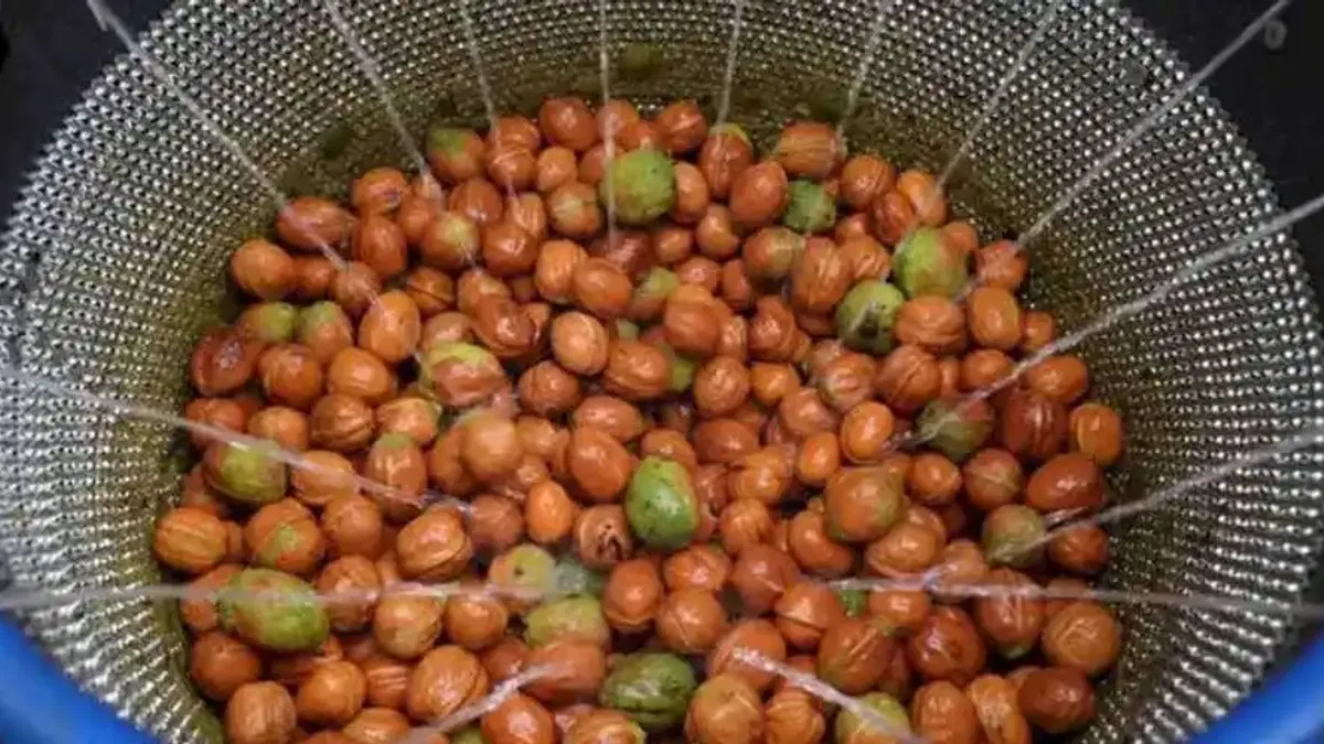 Antalya Büyükşehir’den ceviz üreticisine makine desteği