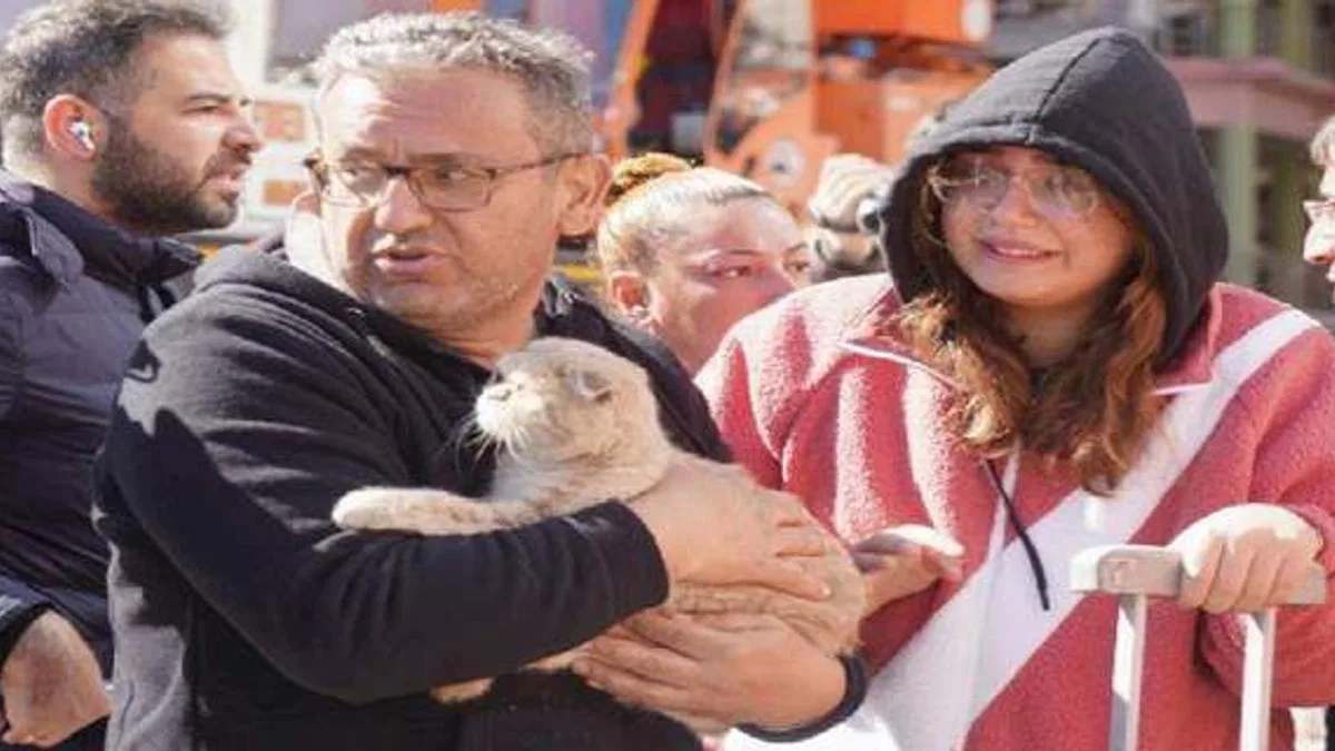 Diyarbakır'da son kedi de kurtarıldı!