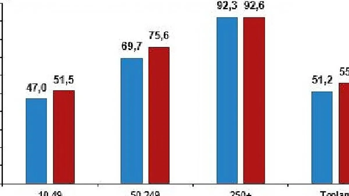 İnternet erişimine sahip girişimlerin oranı yüzde 96,0 oldu
