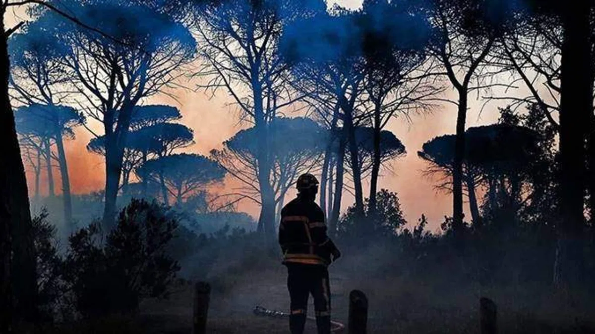 Fransa'da Gironde yangınında 3 bin 400 hektar yeşil alan zarar gördü