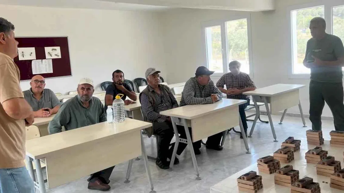 Manisa Büyükşehir'den üreticilere ana arı desteği