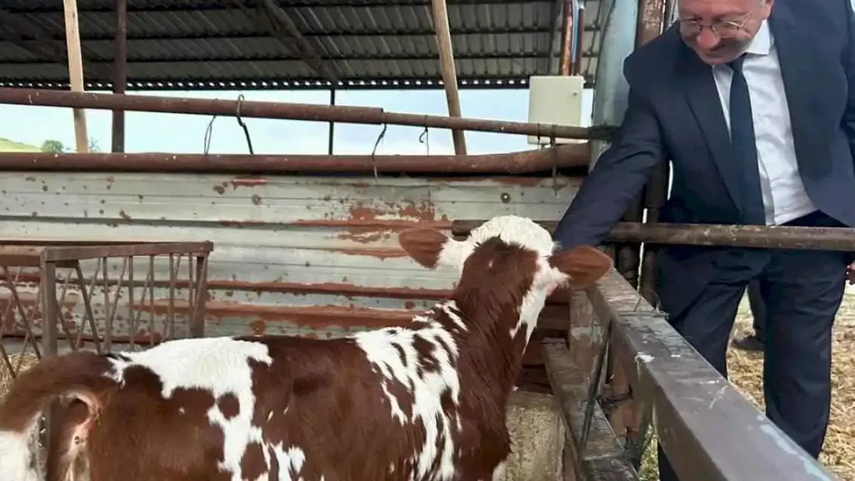 Manisa'da 'tek dam projesi' Selendi'de tanıtıldı