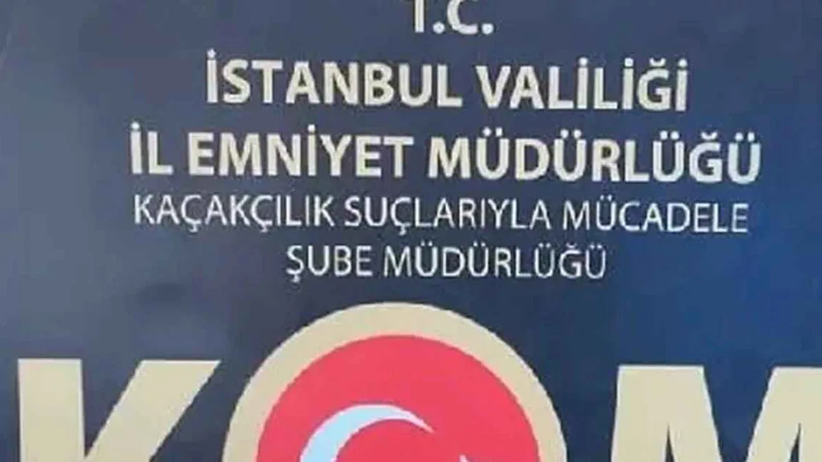 İstanbul’da tarihi eser kaçakçılığı operasyonu! 7 gözaltı