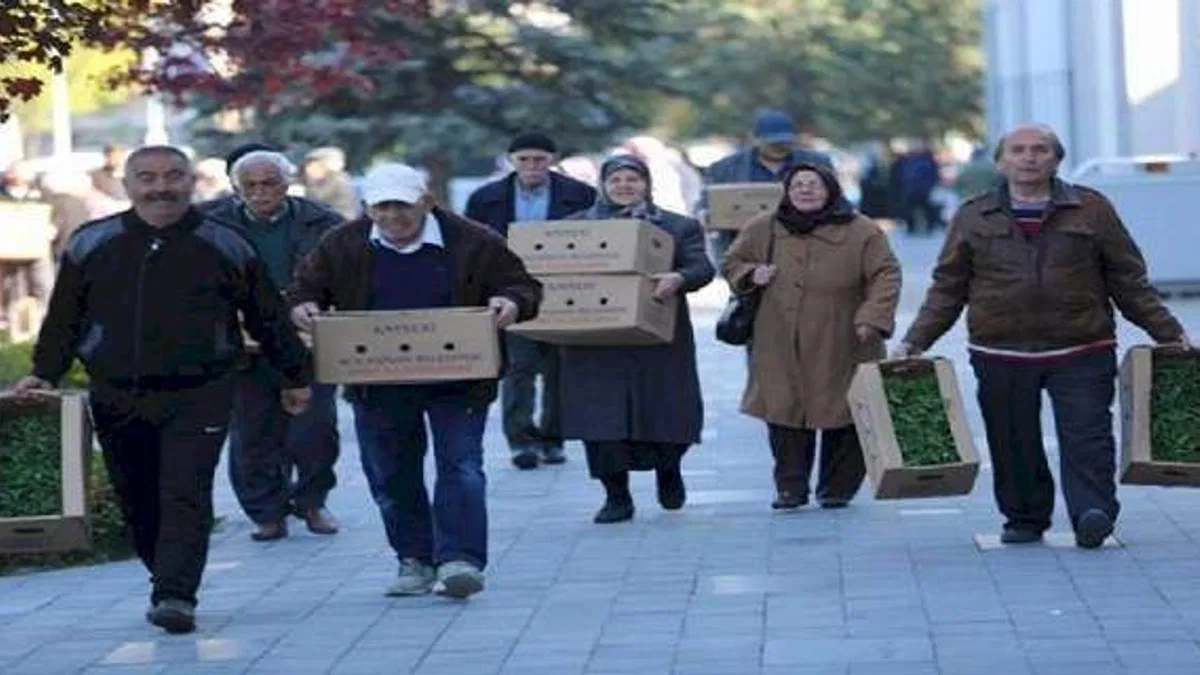 Kayseri Kocasinan'da organik etkinlik