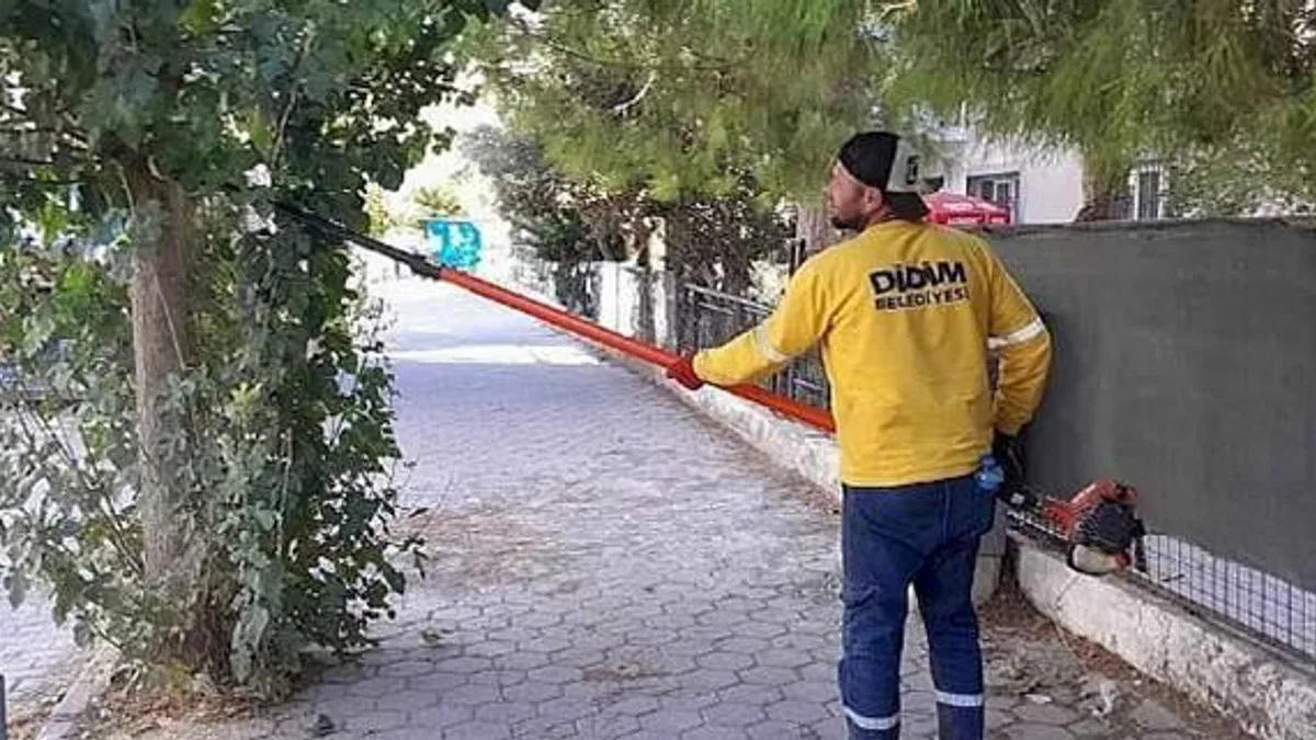 Didim'de Ağaç Budama Çalışmaları Sürüyor