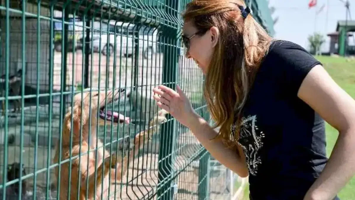 Antalya Muratpaşa'da 'ötenazi'ye karşı!