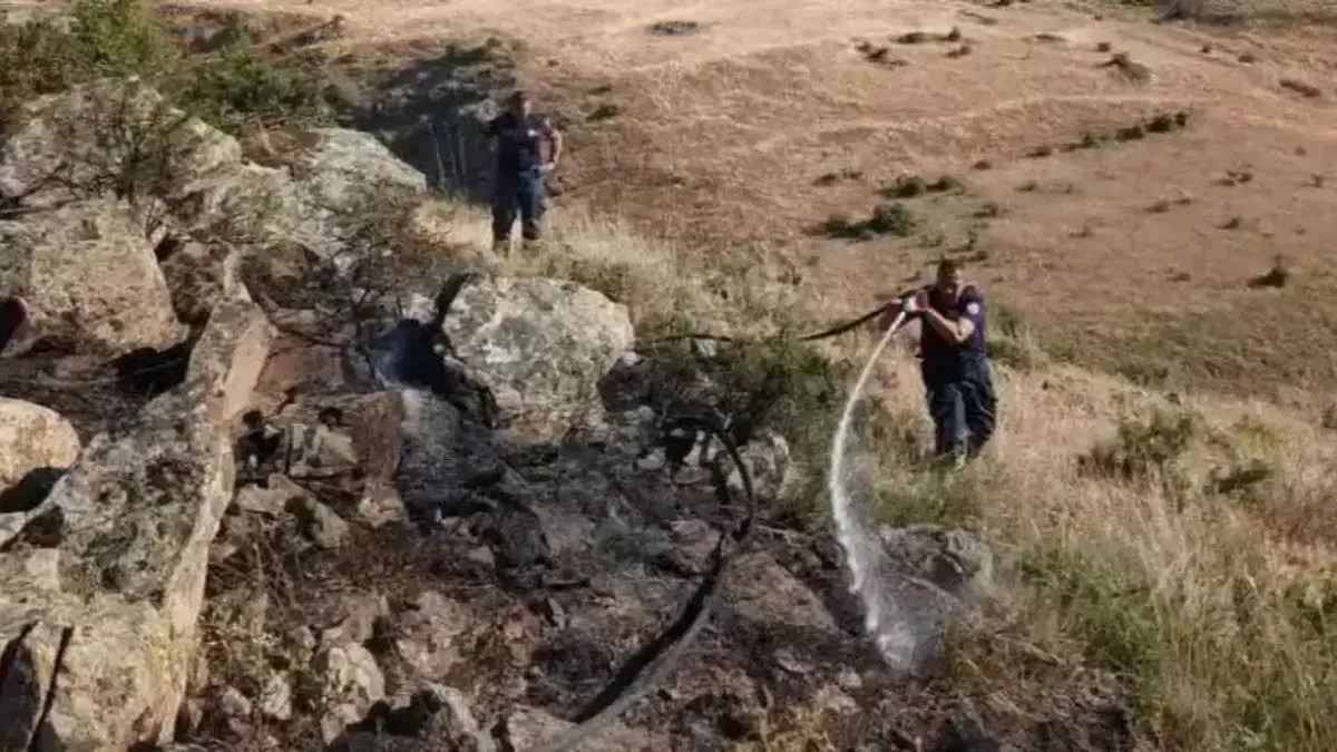 Eskişehir'deki orman yangınına müdahale sürüyor
