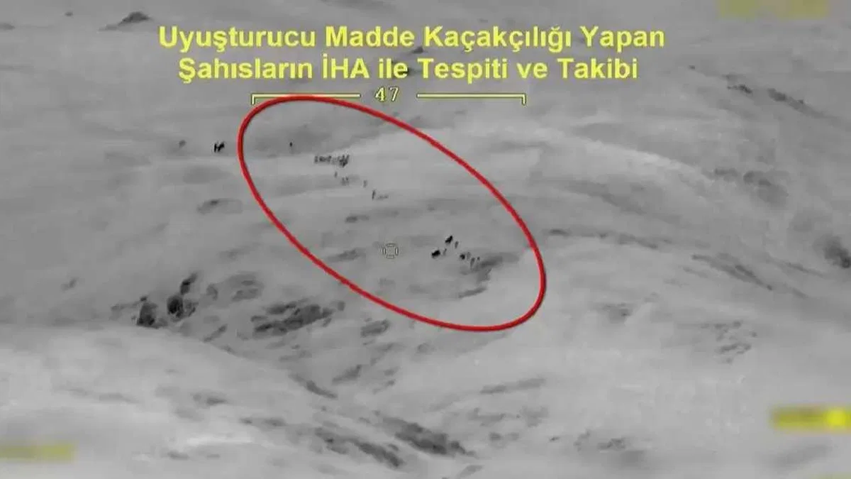 Hakkari'de JİHA destekli operasyonda 253 kilo esrar ele geçirildi