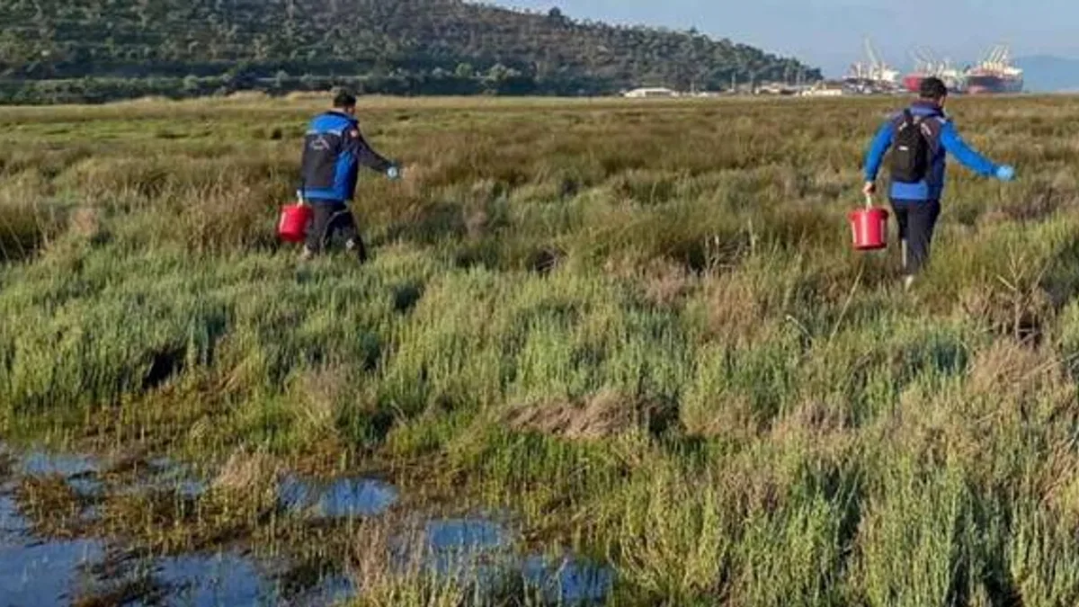 Muğla Büyükşehir'den Güllük'te 60 hektarda ilaçlama