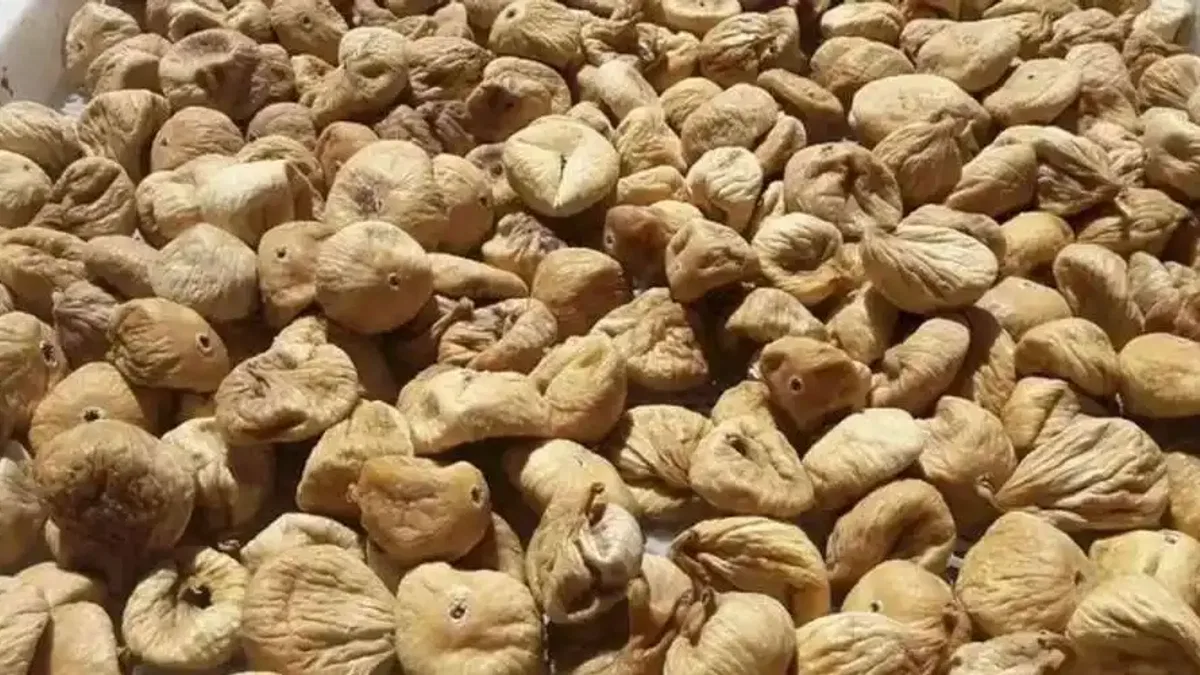 Kuru incirde üreticilere 19 bin kerevet dağıtıldı