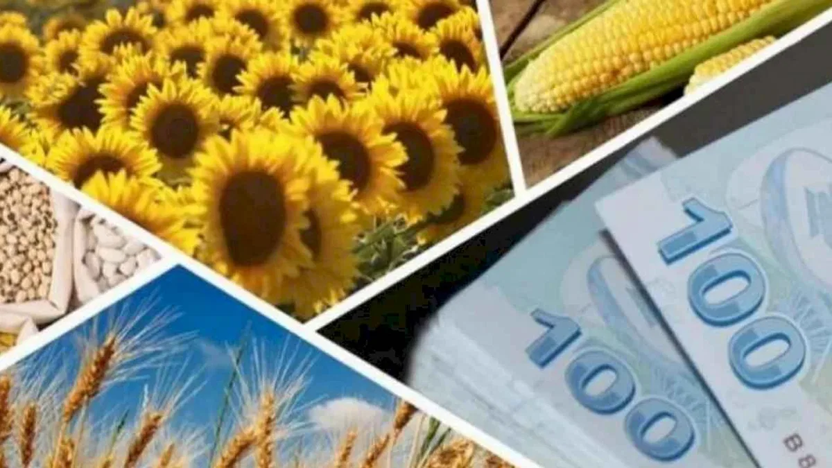 Çiftçilere 1,7 milyar TL’lik destek ödemesi hesaplarda