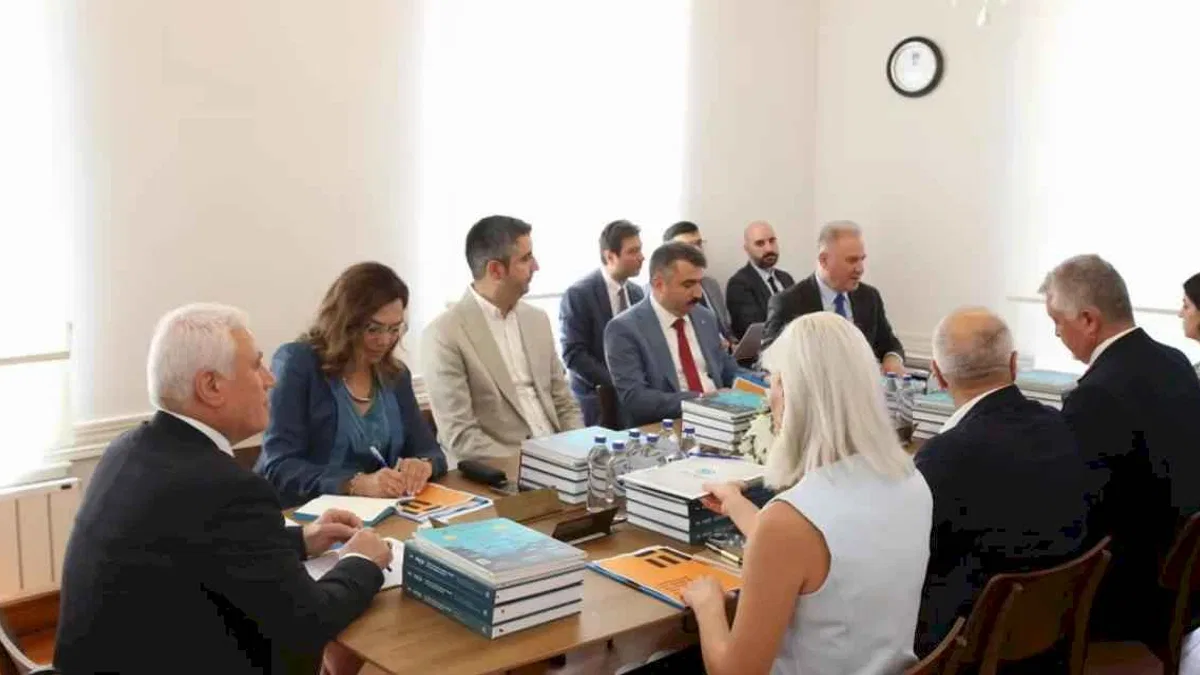 MBB’den çarpıcı sokak hayvanları raporu