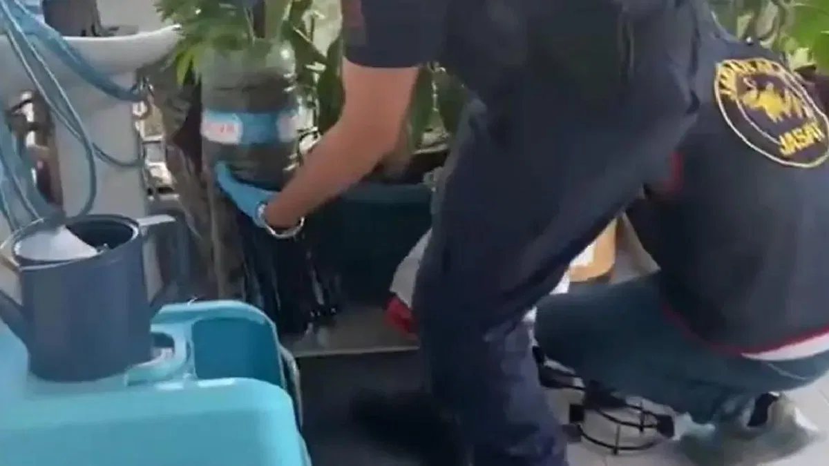 Jandarma’dan 5 ilde uyuşturucuya 341 gözaltı