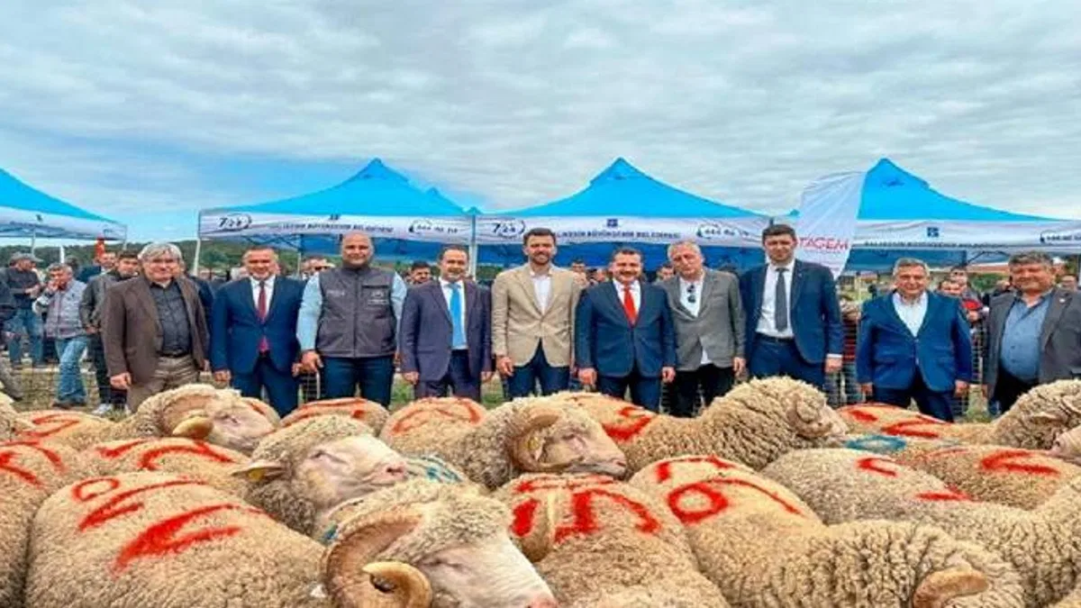 Tescilli Balıkesir Kuzusu'na destek