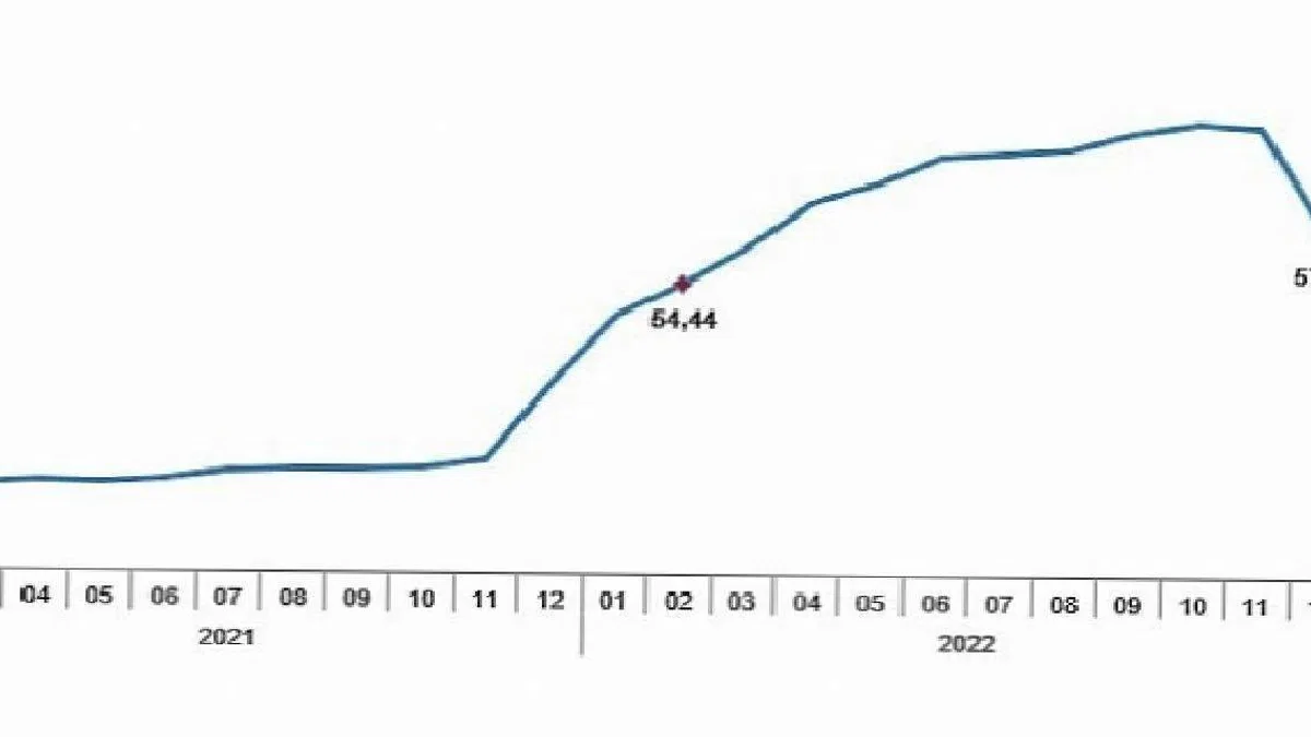 TÜİK: Tüketici fiyat endeksi (TÜFE) yıllık %55,18, aylık %3,15 oldu