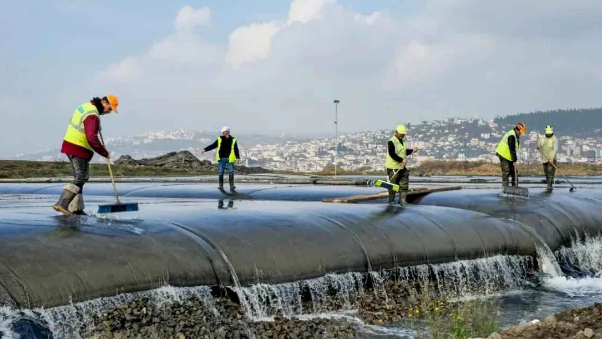 Körfez'de çamur gidiyor, yeni canlılar geliyor